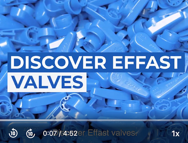 Discover Effast Valves/Values.